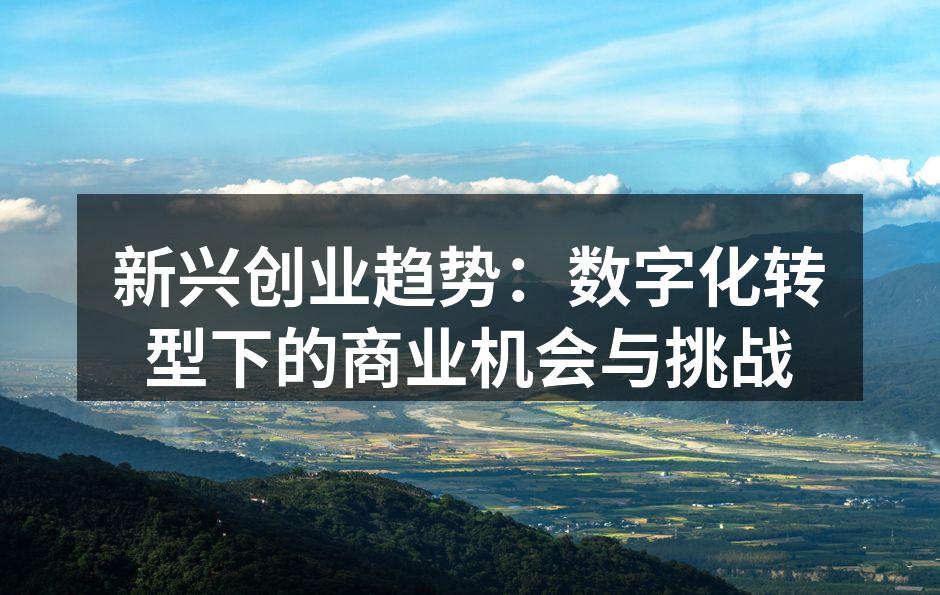 新兴创业趋势：数字化转型下的商业机会与挑战