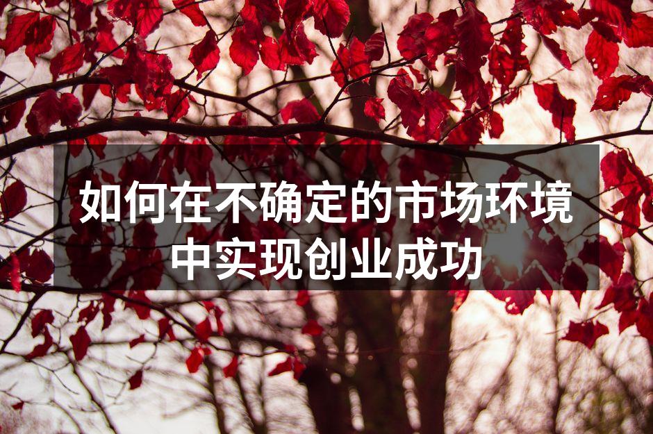 如何在不确定的市场环境中实现创业成功